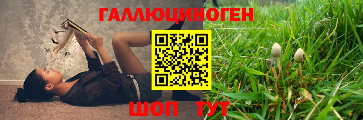 Псилоцибиновые грибы мухоморы Сорочинск